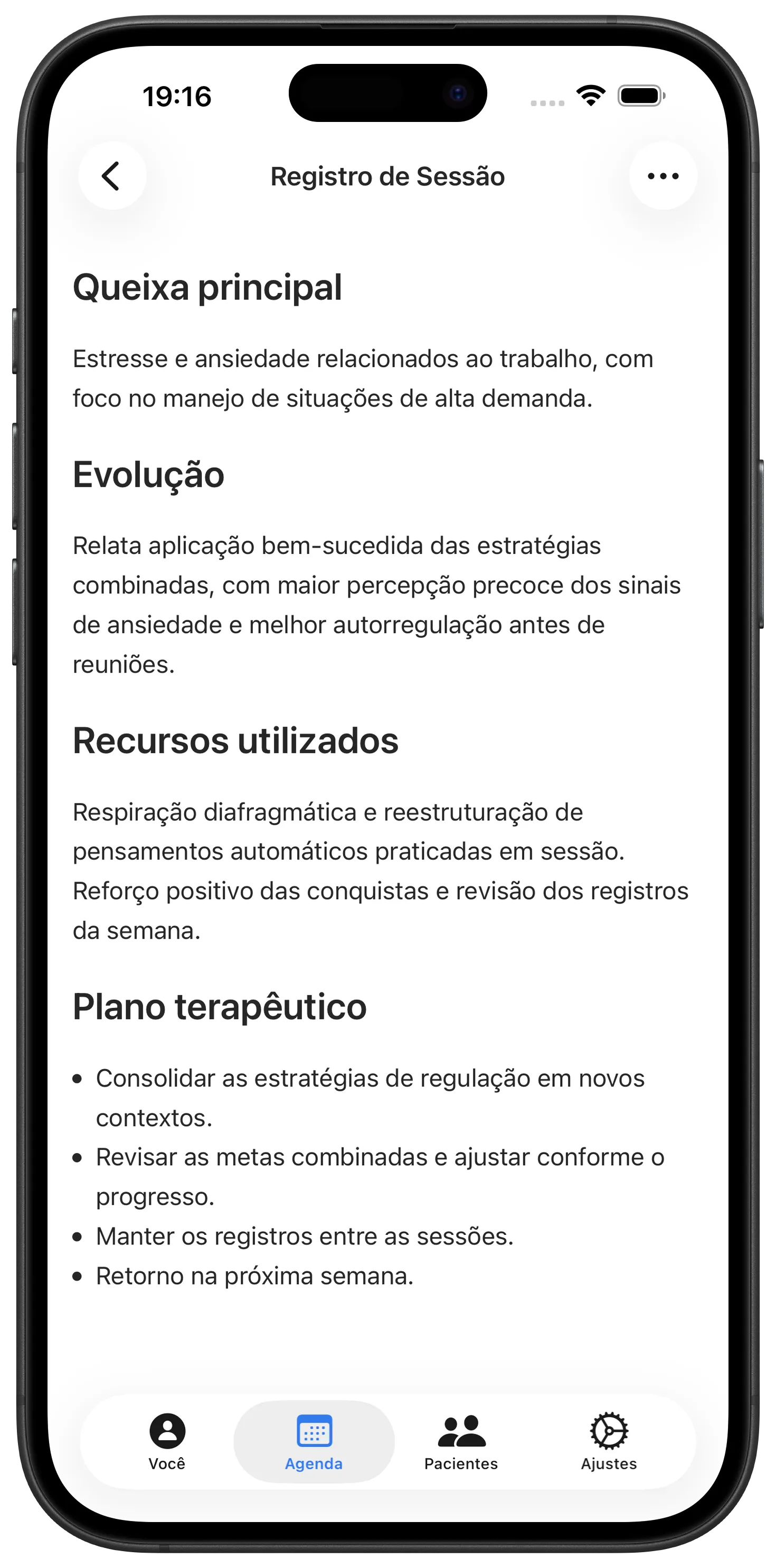 Registro de sessão escrito pelo Maestra